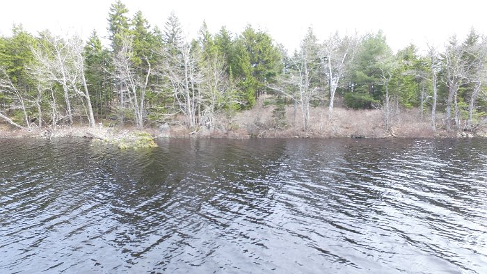 WentworthHalbinsel (93)